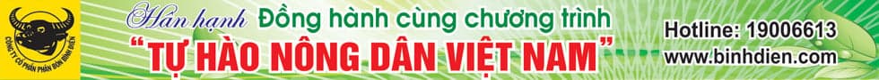 Trung tâm dữ liệu trên mặt đất sẽ bị tắc nghẽn vì thiếu không gian bất động sản